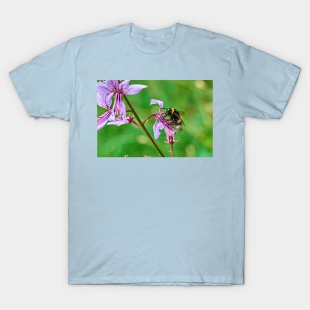 Bumble bee gets stuck in to an orchid T-Shirt by mbangert